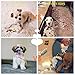 CCQIN Squeaky Dog Toy Pack for Puppy,Small and Medium Dog Toys Set 7 Pack Cute Pet Toys with Squeakers,Puppy Teething Dog Chew Toys(Rabbit,Carrot,Bone)