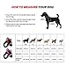 FAYOGOO Dog Service Vest Harness, Pink, XXS to XXL, Reflective Stitching, Soft Padding, Buckle Closure