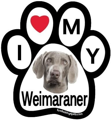 i love my weimaraner