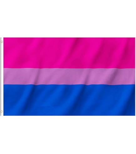 Anley FLY Breeze 3x5 Piedi Genderfluid Flag-bandiere LGBT Pride