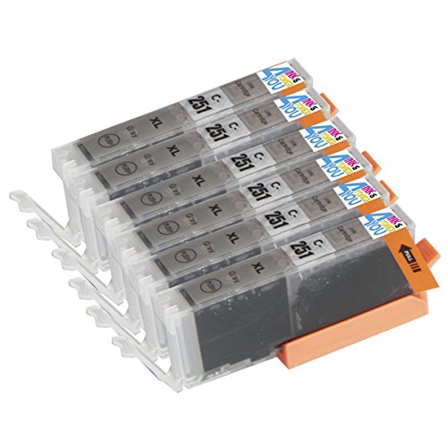 6 Pack - Compatible Ink Cartridges for Canon CLI-251 XL Gray Inkjet Cartridge Compatible With Canon PIXMA MG-5450 MG-5520 MG-6320 MG-6350 MG-6420 MG-7120 MG-7150 iP7250 iP8720 iP8750 (6 Gray) Ink & Toner 4 You
