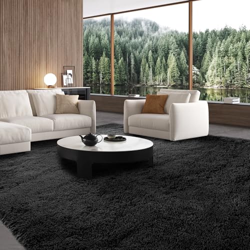 Black Area Rug