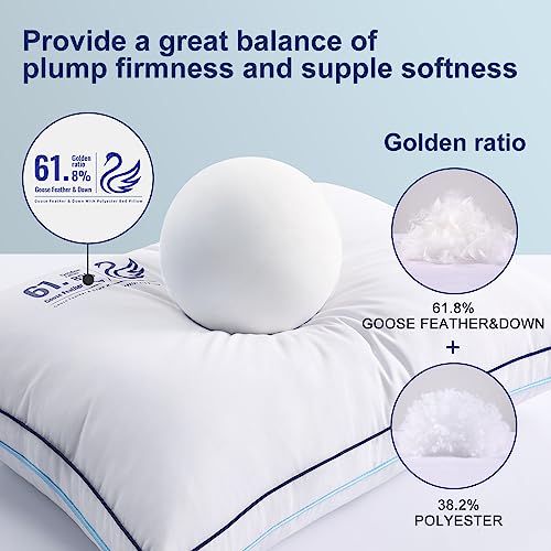 TEXARTIST White Goose Feather and Down Bed Pillow,Firm and Supportive