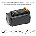 PowerGiant 36V 2.0Ah Lithium Ion Battery Replacement for Black & Decker LBXR36 LBX2040 LBX36 LBXR2036 (True Capacity)
