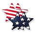 Nippies American Flag Print Stars Waterproof Adhesive Nipple Cover Pasties Size C