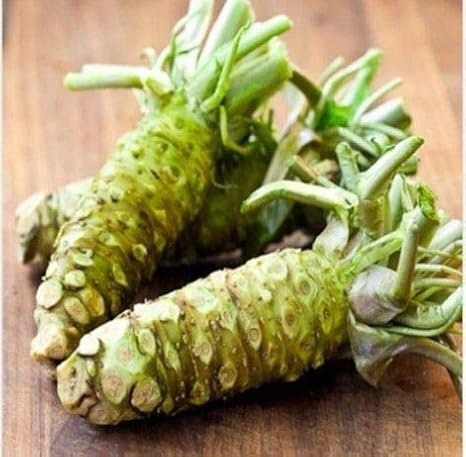 AGROBITS 400Pcs japanischer Meerrettich Wasabi Seed Garden KrÃ¤uterpflanzen Kren Seeds