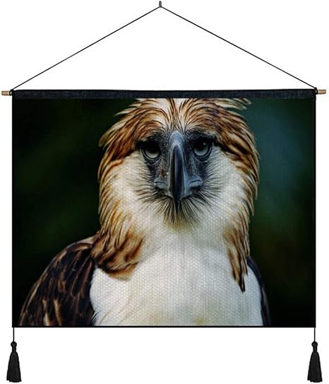 Amazon Co Jp 綿の麻 タペストリー 多機能 掛け軸 掛け物 横 65cmx45cm イーグルフィリピン鳥頭羽くちばし肉食動物 個性 掛け軸 掛け物 掛けじく ポスター インテリア 組立式 部屋飾り壁 壁飾り ホーム キッチン