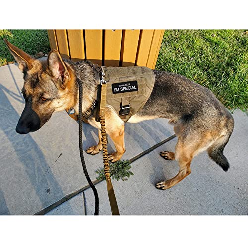 GYGYL 2Pcs Tactical Funny Flag Patch, Mama Says I\'m Special, Hook Fastener American Military Patches Set for Tactical Caps, Bags, Backpacks, Tactical Vest, Military Uniforms