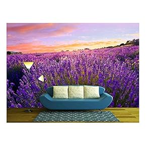 Lavender Field in Summer Near Tihany, Hungary - Removable Wall Mural | Self-Adhesive Large Wallpaper - 66x96 inches