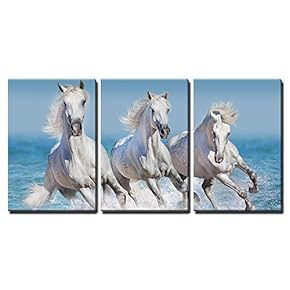 Horse Herd Run Gallop in Waves in The...