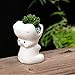Cute Animal Succulent Planter Pot Ceramic Cactus Planter Pot Flower Pot Plant Pot Container Planter Bonsai Pots with A Hole Perfect Gift Idea (Cartoon Hippo )