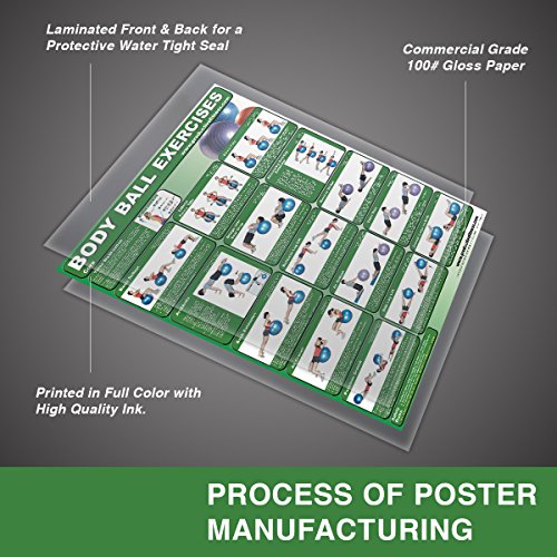 Laminated-Body-Ball-Core-Exercise-Poster-This-Exercise-Ball-Chart-was-Created-by-Fitness-Experts-with-University-Degrees-in-Exercise-Physiology--with-the-Many-Core-Muscle-Exercises
