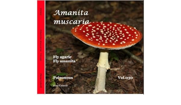 Amazon Com Amanita Muscaria Fly Agaric Fungi Book 30 Ebook Cockwill Fiona Cockwill Fiona Kindle Store
