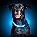 Ultimate LED Dog Collar – USB Rechargeable, Cable Included, 5 Awesome Colors. Ultra Bright, Durable, Made to Last. Make Your Dog More Visible at Night. (Medium Blue)
