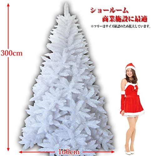 最高級リッチ大型クリスマスツリー300cm ホワイトヌードツリー本物そっくり モミの木が純白で構成され１本１本細かく本物と見間違うような臨場感のある ツリーです ショールームなど最適 ドイツ ベルギー輸出専用 Tca12 040w 30 M Townofgreenwood Org