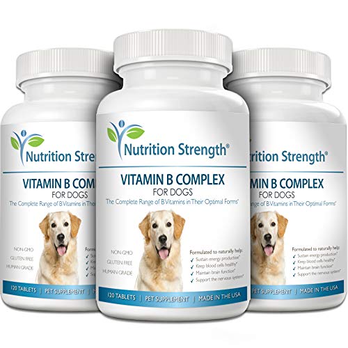 b complex dosage for dogs