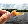 RAH-3D-Epoxy-Eyes-60-Pack-For-Fishing-Fly-Tying-Fishing-Lures-Crafts-Available-in-multiple-Colors-Sizes-Lifelike-3D-Fish-Eyes