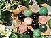 yoniloveeggTM The Jade Egg Yoni Eggs Set of 2 Women Pelvic Floor Kegel Exercise with Storage Bag