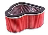 Hiflofiltro HFA1926 Premium OE Replacement Air Filter
