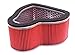Hiflofiltro HFA1926 Premium OE Replacement Air Filter primary