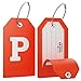 Initial Luggage Tag with Full Privacy Cover and Stainless Steel Loop – (Letter P)