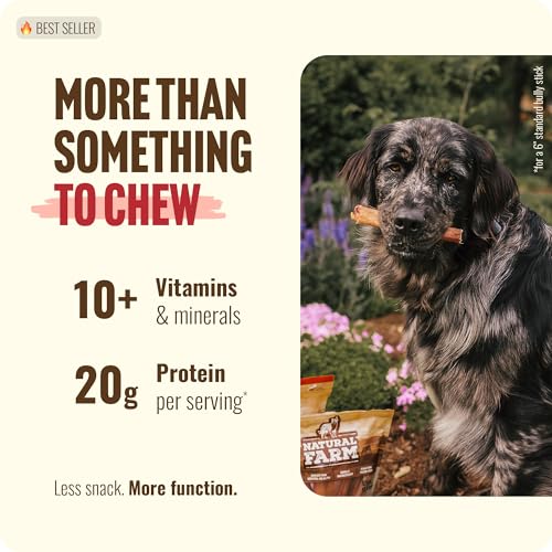 Natural Farm Extra-Thick 12-Inch Beef Bully Sticks Dog Chews (10-Pack) - Odor-Free Dental Treats for Dogs