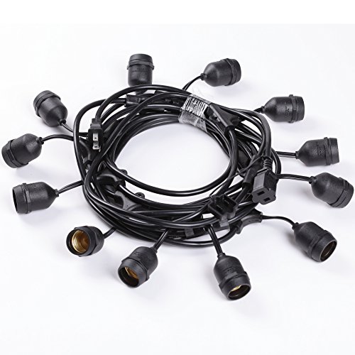 AMLIGHT Outdoor Commercial String Globe Lights 24 Feet Long with 12