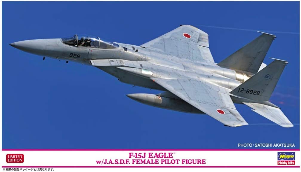 Hasegawa 1:72 F-15J Eagle w/J.A.S.D.F. Female Pilot Figure, 3