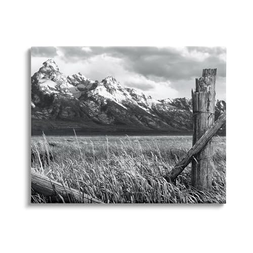 Stupell Industries Grassland Fence Photography Canvas Wall Art by Steve Toole