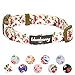 Blueberry Pet 7 Patterns Spring Scent Inspired Pink Rose Print Ivory Adjustable Dog Collar, Large, Neck 18