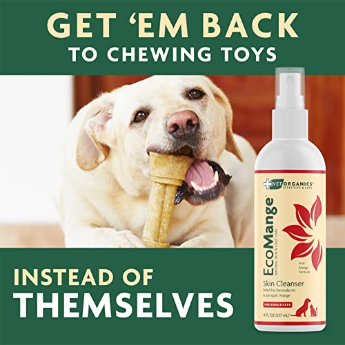 Mange Relief for Dogs & Cats 8 Oz. Cat & Dog Itch Relief