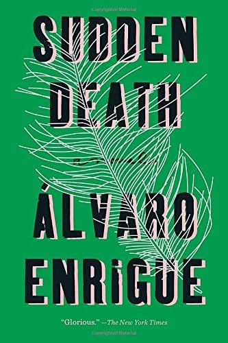 Álvaro EnrigueSudden Death: A Novel
