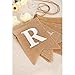Koker MR and MRS Burlap Flag Garland for Wedding Banner, Bridal Shower, Engagement Photo Prop Backdrop Decorations, 8pcs