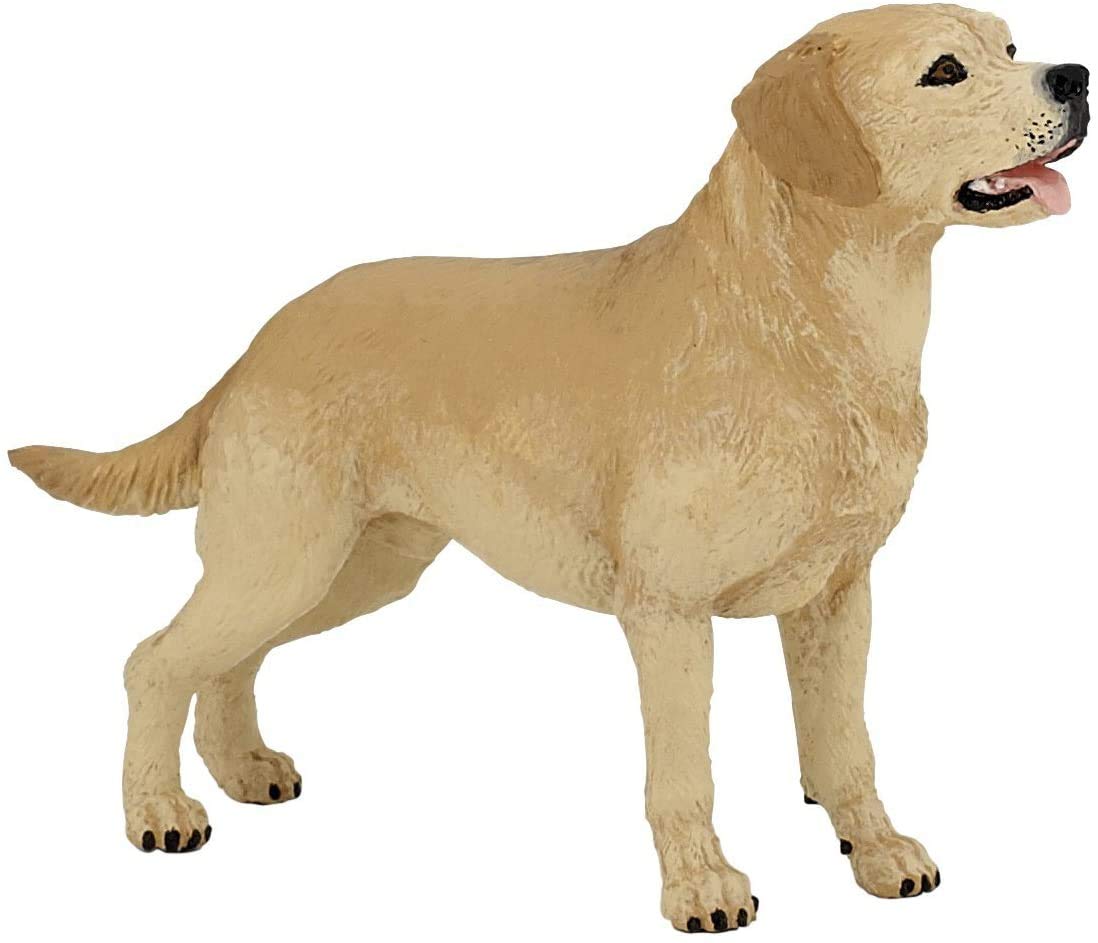 Papo - Realistic Labrador Retriever Figure Toy for Kids - Ages 3+ - Dogs And Cats Collection - Educational Play Pets - Gift Idea Toy for Girls and Boys - 9.5 Cm X 3 Cm X 6.5 Cm