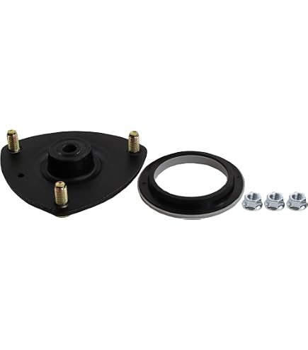 Amazon.com: Monroe Shocks & Struts Strut-Mate 906919 Suspension