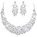 EVER FAITH Women's Austrian Crystal Art Deco Flower Wave Necklace Earrings Set