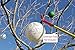 Light Hanger Pro Installation Wand LH-18800 Christmas Light Pole Hanger