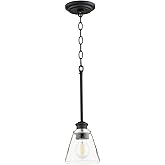 Quorum International Dunbar 1-LT Pendant - Noir - 309-69, Black