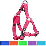 Blueberry Pet 7 Colors Step-in Classic Dog Harness, Chest Girth 23.5