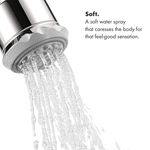 hansgrohe Clubmaster 4inch Easy Clean Easy Install Showerhead Modern 3Spray Full, Pulsating
