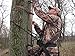Lone Wolf Treestands Climbing Sticks, Single