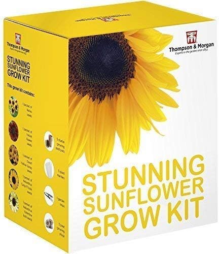 Stunning Sunflower Seed Growing Kit, Grow Your Own 5 Varieties of Contrasting Flowers in one Seed Grow Kit