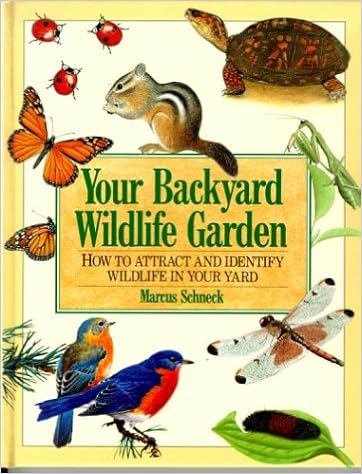 Your Backyard Wildlife Garden How To Attract And Identify