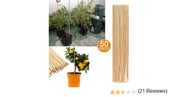 50 bastones de jardín de bambú para planta de crecimiento de ...
