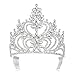 DcZeRong 5 Inch Tall Large Tiara Adult Women Birthday Pageant Prom Queen Silver Crystal Rhinestone Crown