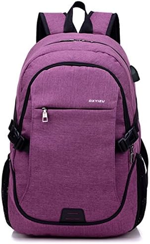 Laptop Backpack,Lupan Business Waterproof Laptop Notebook Backpack with USB Charging Port and Lock, College School Travel Bag for Men Women (Purple)