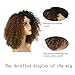 MISSQUEEN 2 Tone Ombre Wig Black to Brown Synthetic Kinky Curly Wigs for Black Women Heat Resistant Fiber.
