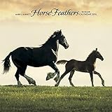 Horse Feathers 2016 Wall Calendar