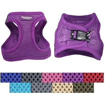 Downtown Pet Supply No Pull, Step in Adjustable Dog Harness with Padded Vest, Easy to Put on Small, Medium and Large Dogs (Purple, XS)