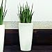 Lechuza Maxi-Cubi Self Watering Planter - Gloss White
